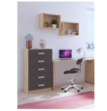 Sinfonier 5 Cajones, Cómoda, Acabado en Cambrian y Grafito, Medidas: 60 cm (An) x 108,5 cm (Al) x 38 cm de (Fon) - Meyvaser