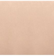 Pack de 6 Sillas Tapizadas para Salón y Comedor – Acabado Beige en Aluminio, Medidas: 43 cm x 48 cm x 99,5 cm